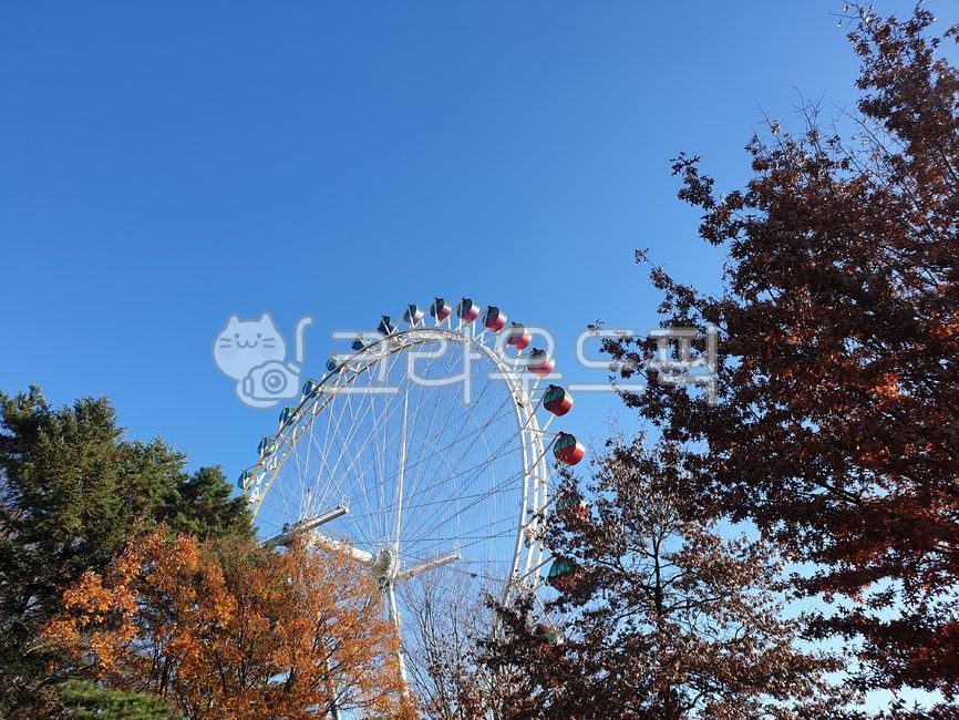에버랜드,가을,가을하늘,대관람차,놀이동산