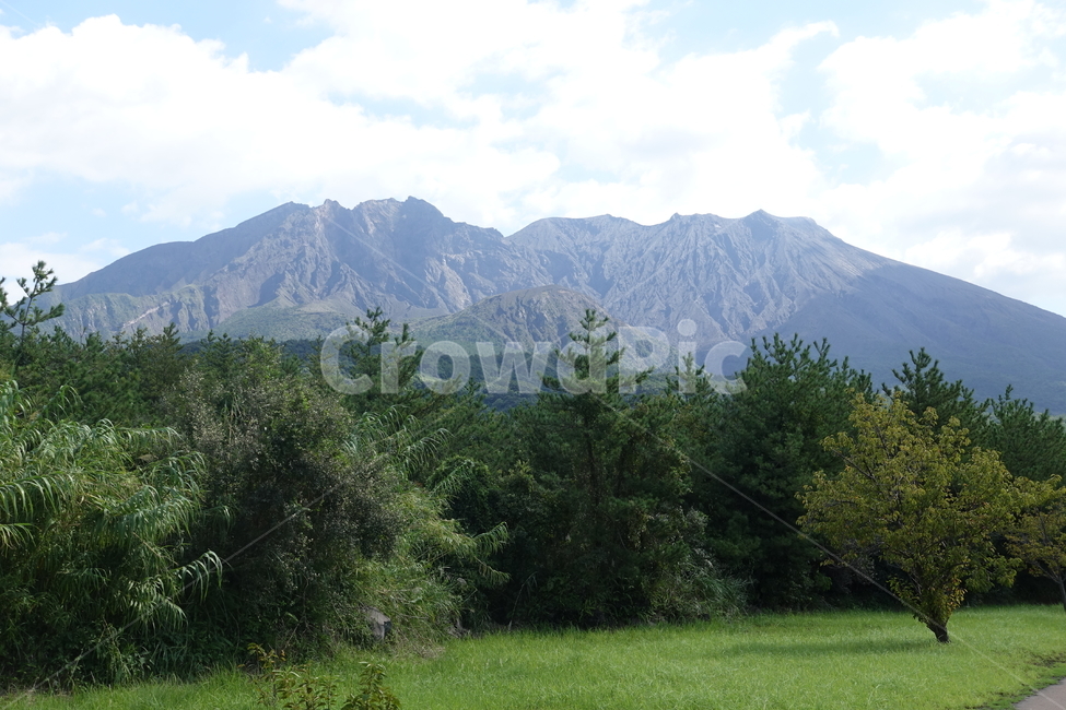 가고시마,사쿠라지마,화산,활화산,화산섬,일본,자연,풍경,nature,landscape,해외,외국,세계,foreign,oversea,world,세계자연풍경,해외자연풍경,외국자연풍경,world nature landscape,outdoors,옥외,plant,식물,tree,나무
