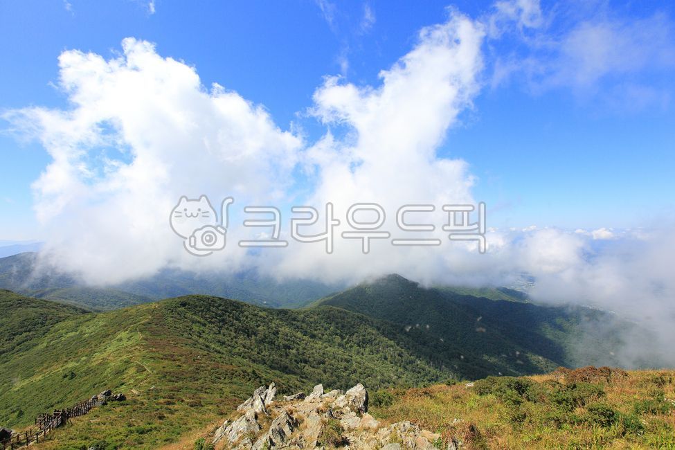 덕유산,덕유평전,파란하늘,하얀구름,감성사진,건강한,청명한,풍경,하늘,나무,푸른숲,힐링,쉼,휴식,여름풍경,파란,산림,산,숲,야외,높은,여름,맑은하늘,수목,생태,환경,식물,녹색,경치,옥외,자연,국립공원,등산,고산,명산,높은산,100대명산,9월,바위