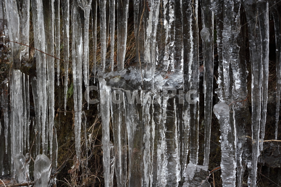 ice,얼음,nature,winter,겨울,고드름,겨울,계절,winter,season