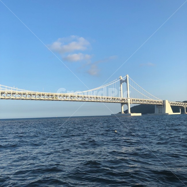 building,건물,bridge,다리,현수교,suspensionbridge,광안리,광안대교