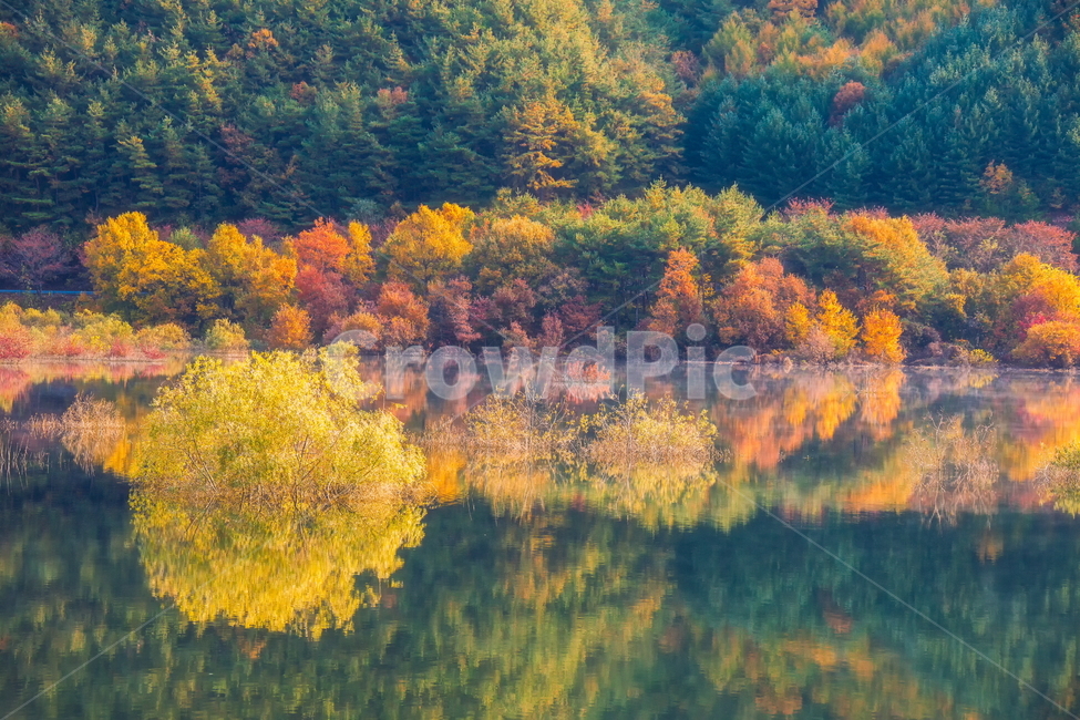 가을풍경,가을,반영,자연,nature,용담호,tree,plant,가을,계절,fall,autumn,season,자연,풍경,nature,landscape,한국자연풍경,한국자연경관,korea nature landscape