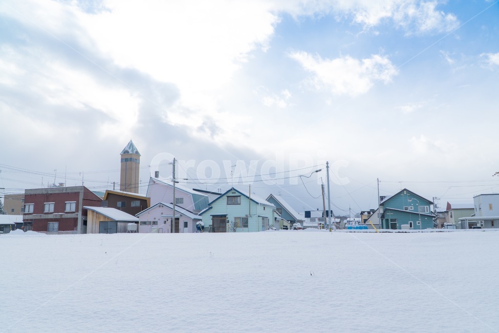 눈,겨울,설경,삿포로,snow,winter,자연,nature,겨울,계절,winter,season