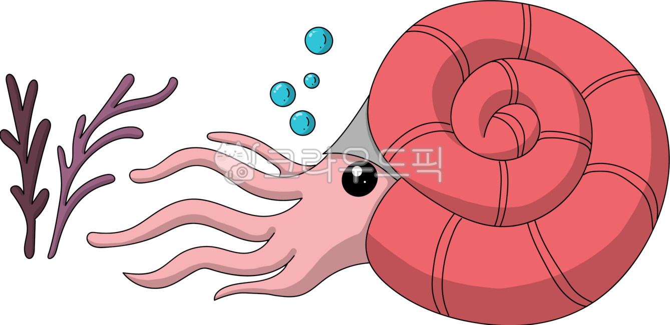 dinosaur,dinosaur,animal,ammonite,ammonites,pink,pink,air,waterdrop,seaweed,aquatic plants,coral,snail,shell,spiral,illustration,clipart,design,graphic,cute,extinct,mesozoic,paleozoic,jurassic,primitive,reptile,dinosaur,cretaceous,character