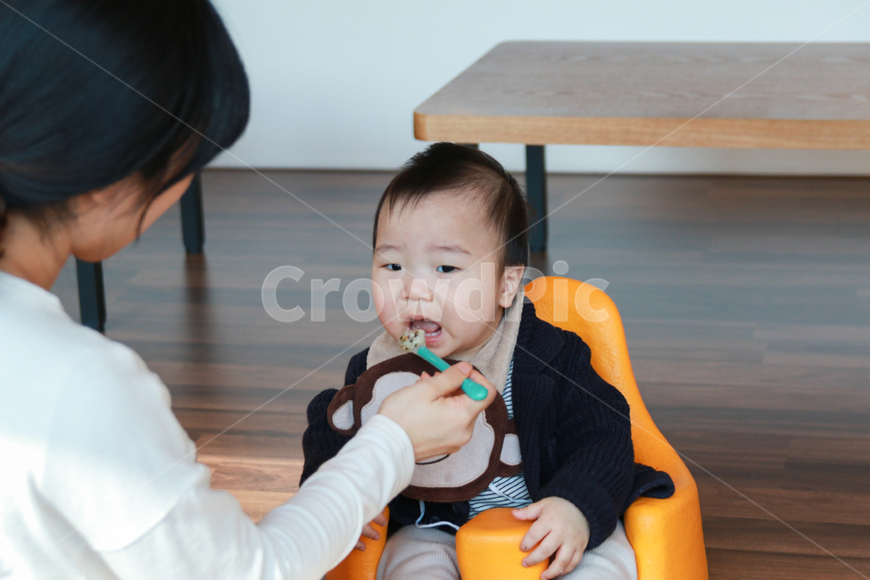 아기,이유식,육아,남자아이,맘마,어린이,아이,밥,식사,남자,영양,아기이유식,귀여운,사랑스런,숟가락,아동,양육,통통한,천사같은,꼬마,영유아,유아,사람,남자아기,1살,1살아기,성장,수유실,육아휴게실,얼굴,표정,11개월,발달,엄마,맛있는,먹는,가족,인물,모델,아기모델,자연스러운,생활,라이프스탕ㄹ,일상,사랑스러운,사람,인물,인간,human,person,가족,패밀리,family,영유아,아기,애기,아이,infants,baby