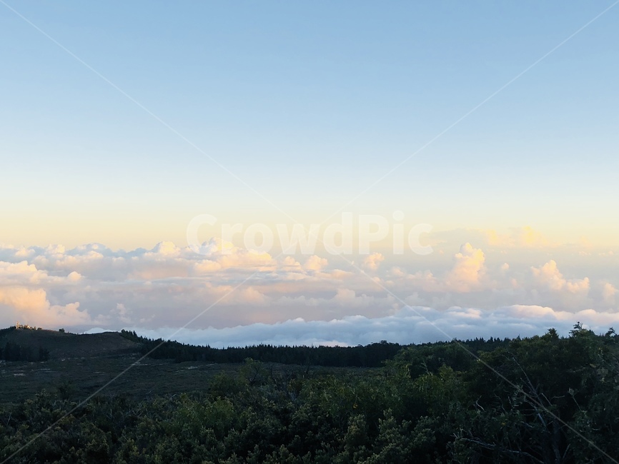 풍경,scenery,경치,landscape,하와이,하와이여행지,신혼여행지,신혼여행,할레아킬라국립공원,드라이브코스,할레아킬라,신혼여행명소,하와이마우이,nature,자연,outdoors,옥외,자연,풍경,nature,landscape