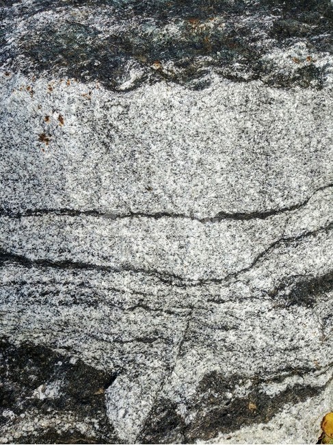 바위,돌,질감,texture,rock,자연