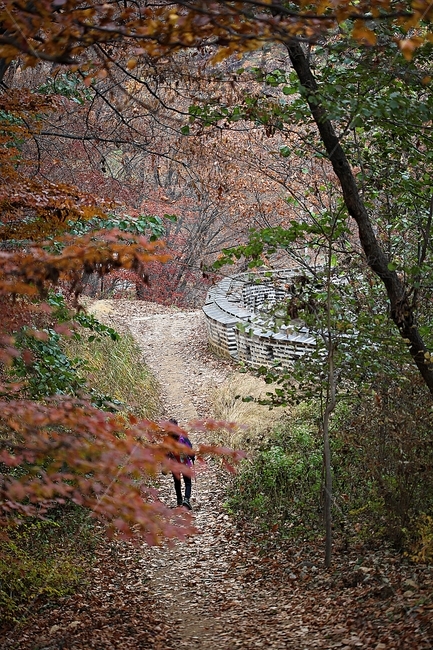 남한산성,성,성곽,단풍,낙엽,길,둘레길,담,돌담,가을,자연,풍경,벽,울긋불긋,산성,식물,숲,숲길,가을,계절,fall,autumn,season