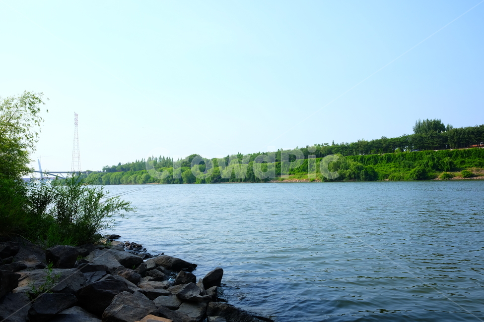 한강,강,자연,풍경,강가,산책로,나무,돌,물가,nature,green,blue,초록,파랑,여름