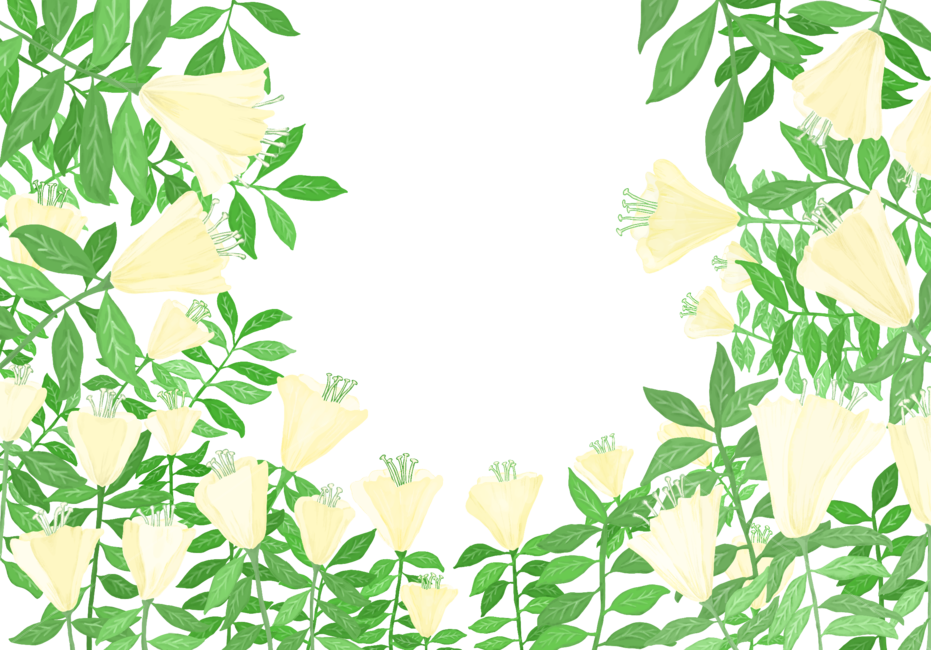 leaf,잎,plant,식물,green,초록,일러스트,그림,꽃,누끼,remove background