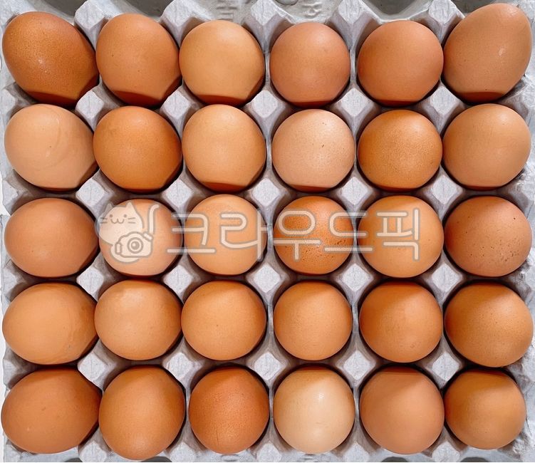 계란,달걀,계란한판,달걀한판,30알,한판,왕란,특란,날계란,날달걀,닭알,알,판,단백질,닭,음식,식재료,재료,food,cook,egg