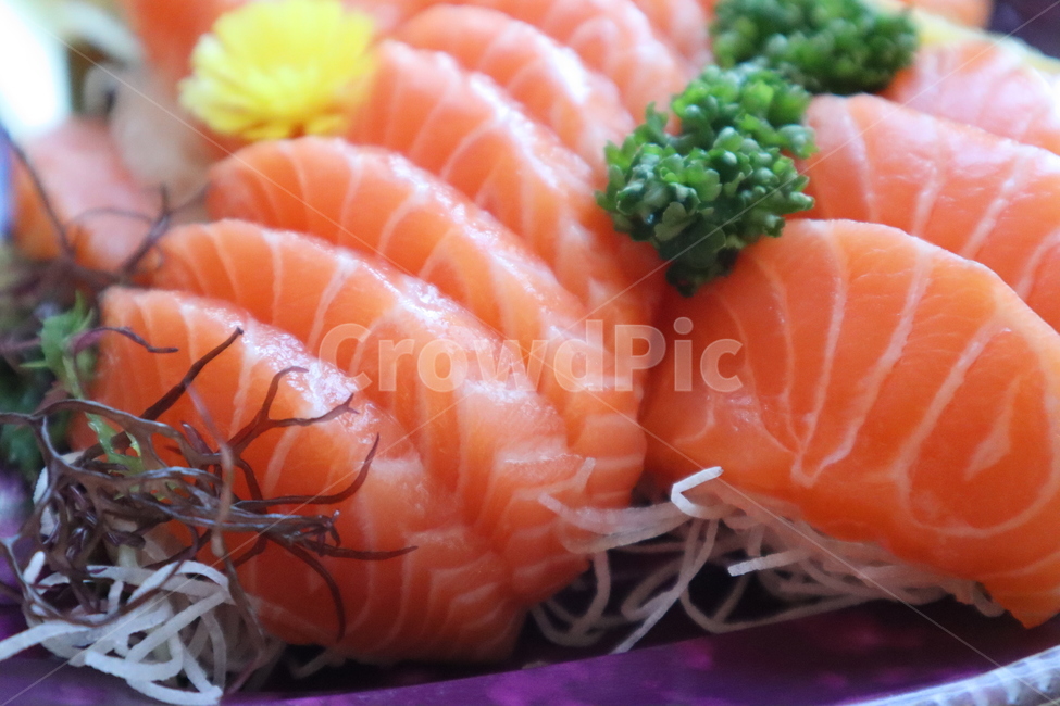 연어,회,연어회,slamon,스시,수산물,해산물,fishery products,seafood