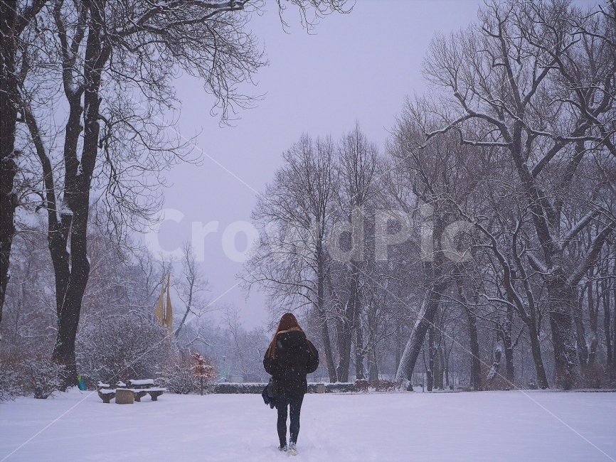 겨울,인물,감성,나무,눈,프라하,prague,snow,winter,사람,정원,감성사진,여자,뒷모습,설원,person,겨울,계절,winter,season,사람,인물,인간,human,person,여성,여자,woman,female,lady,고독함,외로움,쓸쓸함,우울함,슬픔,lonely,solitary,감성,sensible,feeling