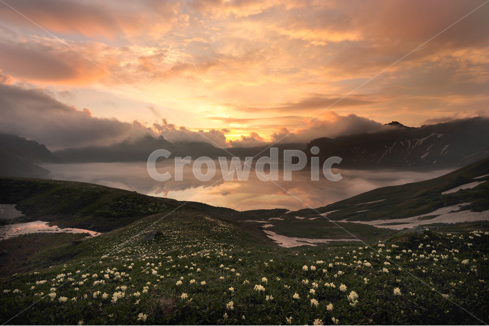 outdoors,옥외,landscape,nature,자연,scenery,백두산,천지,백록담,백두산여명,아침,일출,야생화,백두산야생화,만개,꽃,경치,경관,풍경,비경,자연,풍경,nature,landscape