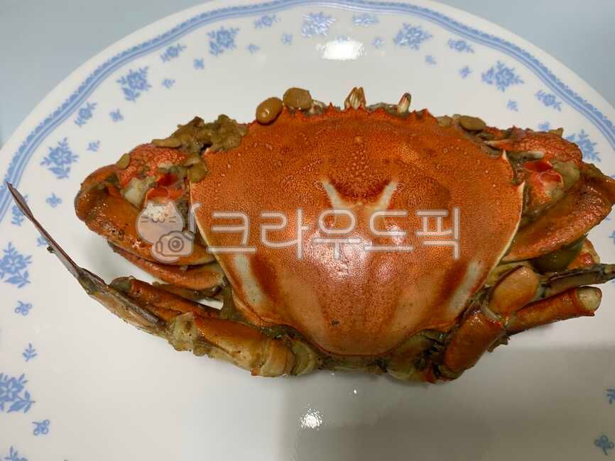 황게,금게,게찜,찜게,꽃게,꽃게찜