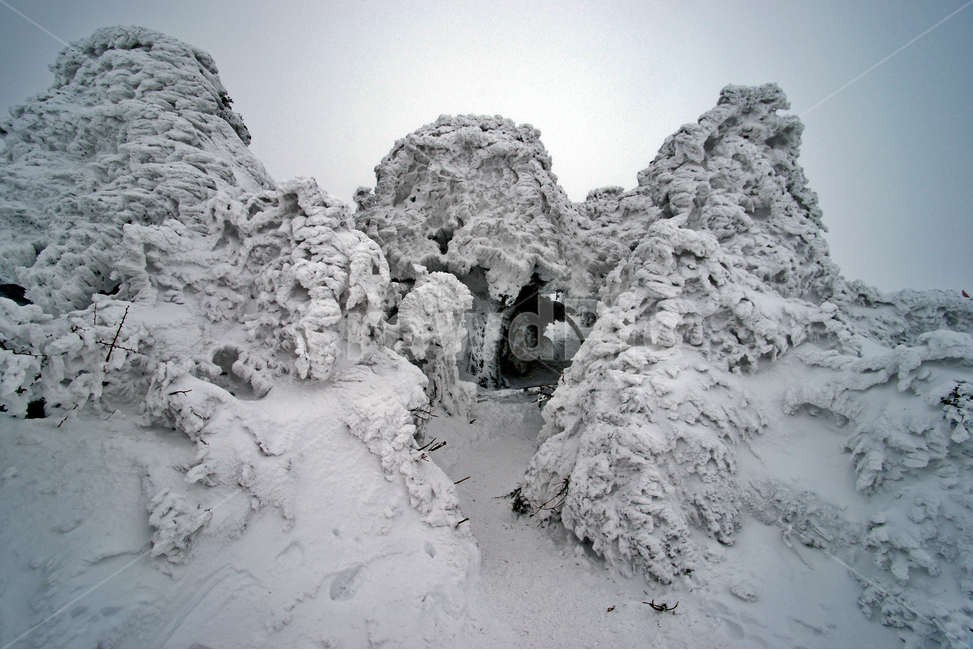 겨울산,한라산,설경,제주도,눈,설목,설화,한라산설경,겨울,계절,winter,season
