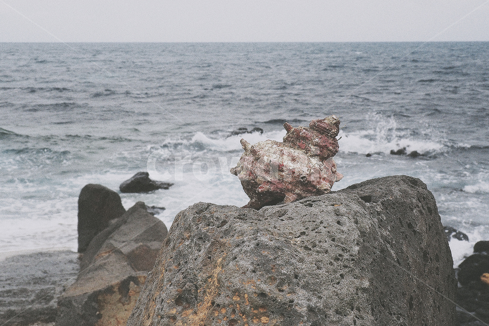 감성,감성사진,제주도,바다,파도,우도,자연,풍경,nature,landscape,한국자연풍경,한국자연경관,korea nature landscape,해변,바다,beach,sea,제주도,jeju,jeju island,감성,sensible,feeling,promontory,곶,outdoors,옥외,ocean,대양,water,물