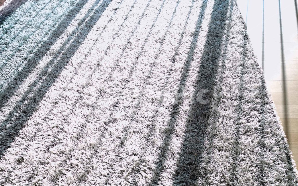 카펫,거실,햇살,그림자,carpet,sunlight