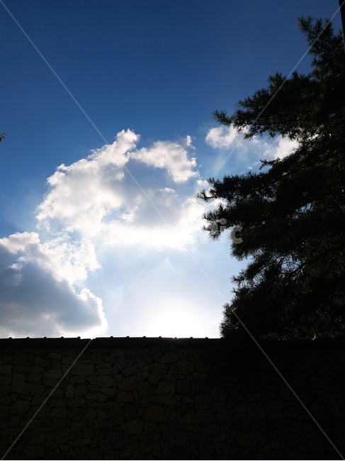 구름,자연,outdoors,nature,눈부신,맑은,자연,풍경,nature,landscape,옥외