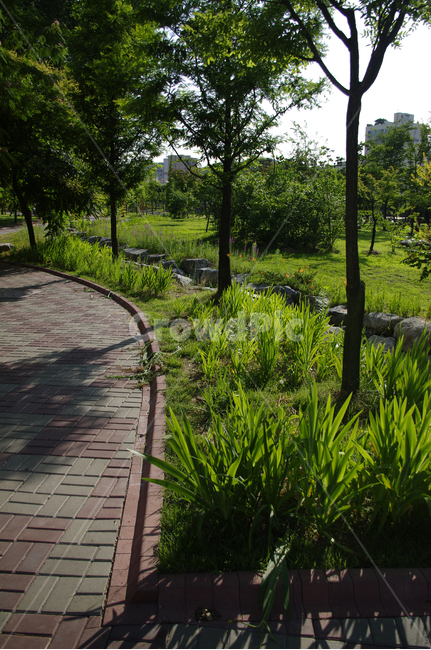 공원,식물,나무,신록,plant,자연,풍경,nature,landscape,land,땅,outdoors,옥외,vegetation,초목,path,통로