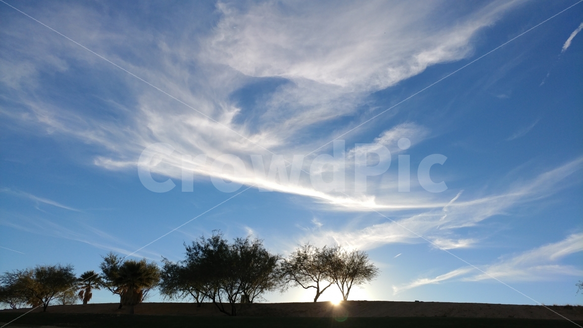 푸른하늘,하얀구름,나무,지평선,라스베가스,미국,네바다,bluesky,whitecloud,trees,LasVegas,Nevada,nature,자연,풍경,nature,landscape,outdoors,옥외