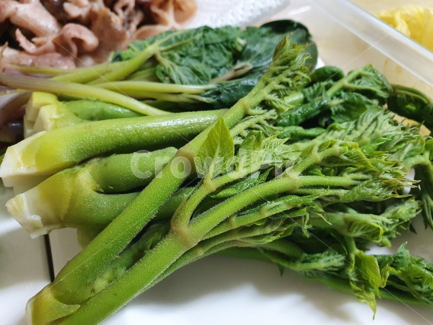plant,식물,봄나물,나물,향기,봄내음,두릅,봄두릅,봄향기,초록,건강,음식,식사,spring,healthy,food,meal,koreanfood,한국음식,한국나물
