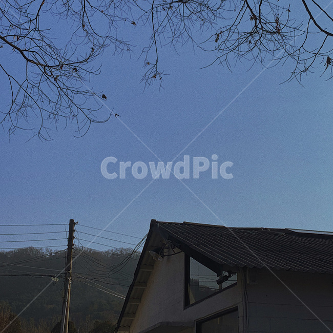 하늘,지붕,sky,roof,나무
