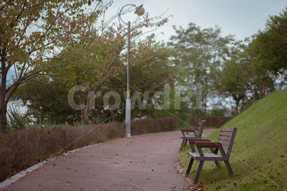 공원,벤치,가로등,가을,잔디,낙엽,쓸쓸함,고독,자연,풍경,nature,landscape,가을,계절,fall,autumn,season,bench,park bench,공원 벤치,furniture,가구