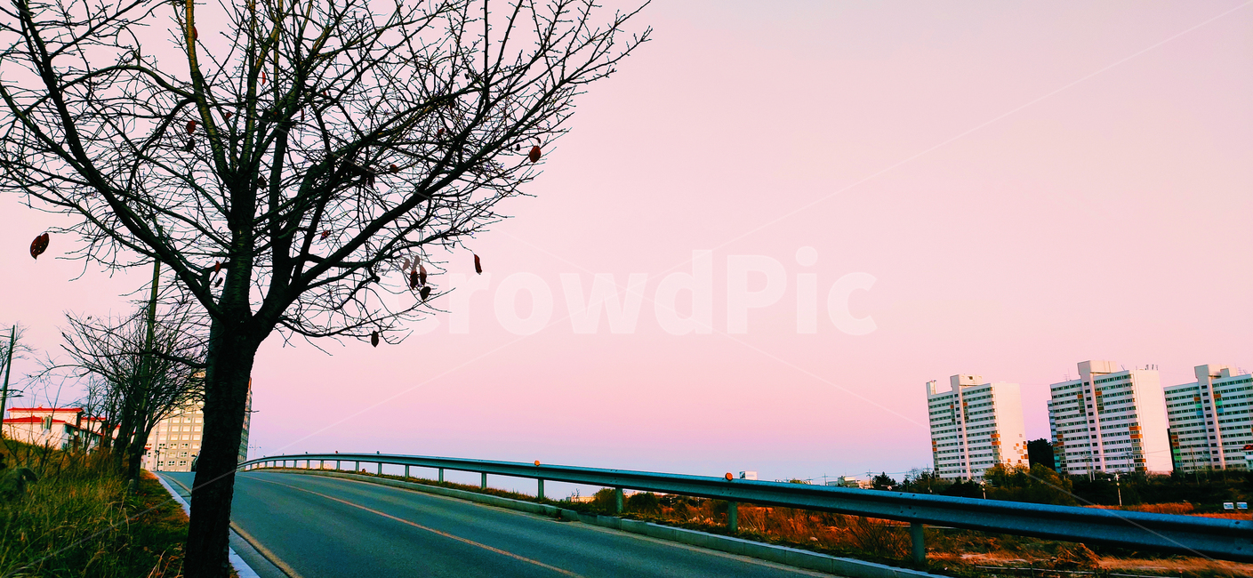 노을,sunset,도로,road,감성,나무,하늘,sky,도시,풍경,city,landscape,한국도시풍경,한국도시경관,korea cityscape