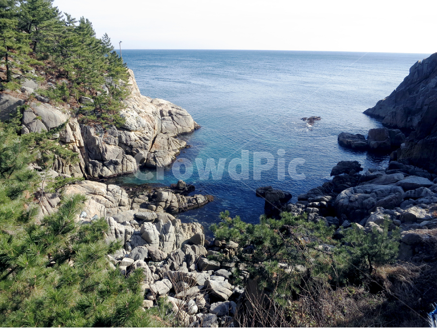 하조대,바다,물,소나무,암석,바위,수평선,암석지대,sea,water,finetree,rock,ocean,rocky,자연,풍경,nature,landscape,한국자연풍경,한국자연경관,korea nature landscape,promontory,곶,outdoors,옥외,cliff,낭떠러지