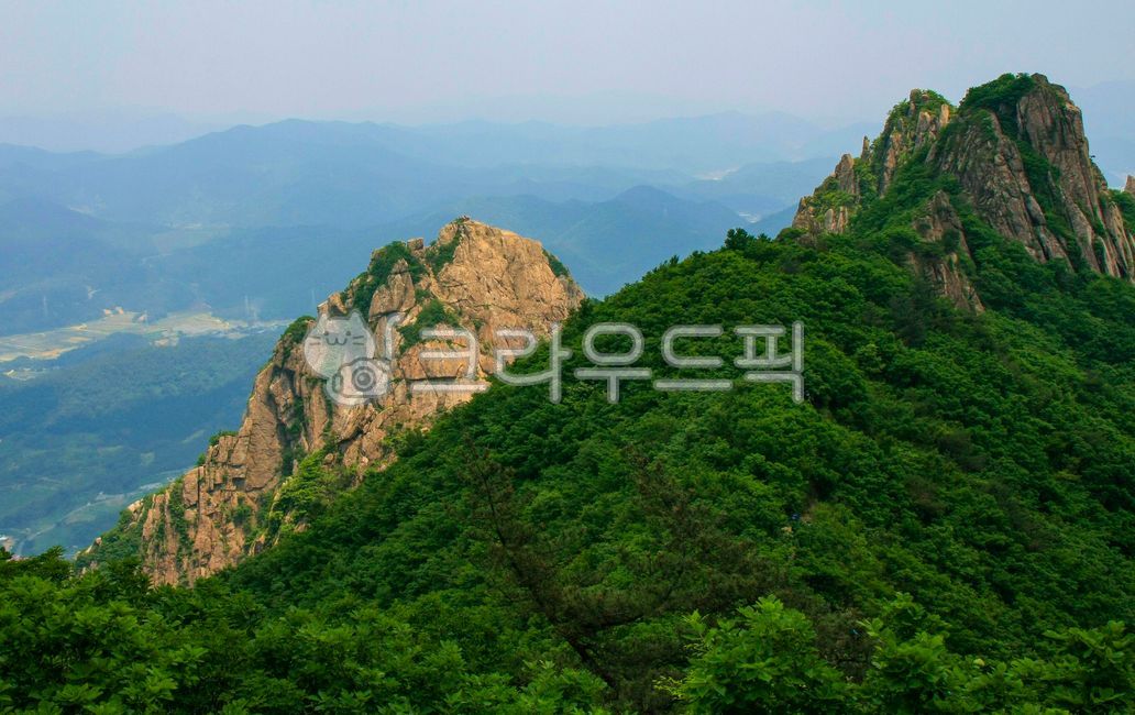 월출산,산,여름산,여름풍경,국립공원,mountain,nature,tree,암벽,바위,하늘,구름,우리나라산,명산,나무,신록,옥외,outdoors,언덕,hill,낭떠러지,cliff,등산,산행,여행