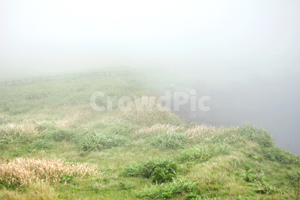 nature,자연,weather,날씨,mist,fog,옥외,outdoors,안개,언덕,hill,grass,자연,풍경,nature,landscape