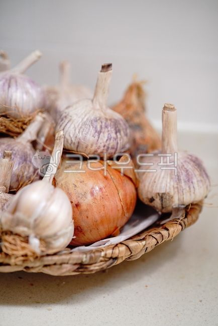 농작물,마늘,양파,야채,수확,통마늘,농업