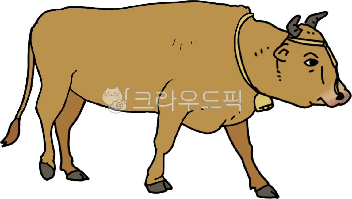 소, 황소, 한우, 가축, 축산, 사진,이미지,일러스트,캘리그라피 - 월붓작가