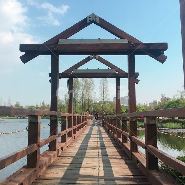 호수,다리,연지공원,나무다리,부산공원,자연,풍경,nature,landscape,railing,난간,water,물,building,건물,bridge