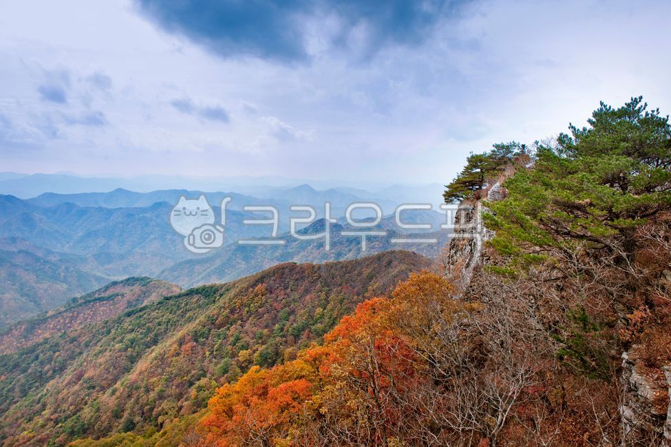주왕산,산,단풍,풍경,아름다운,다양한,나무,숲,바위,암석,하늘,가을,경관,경치,자연
