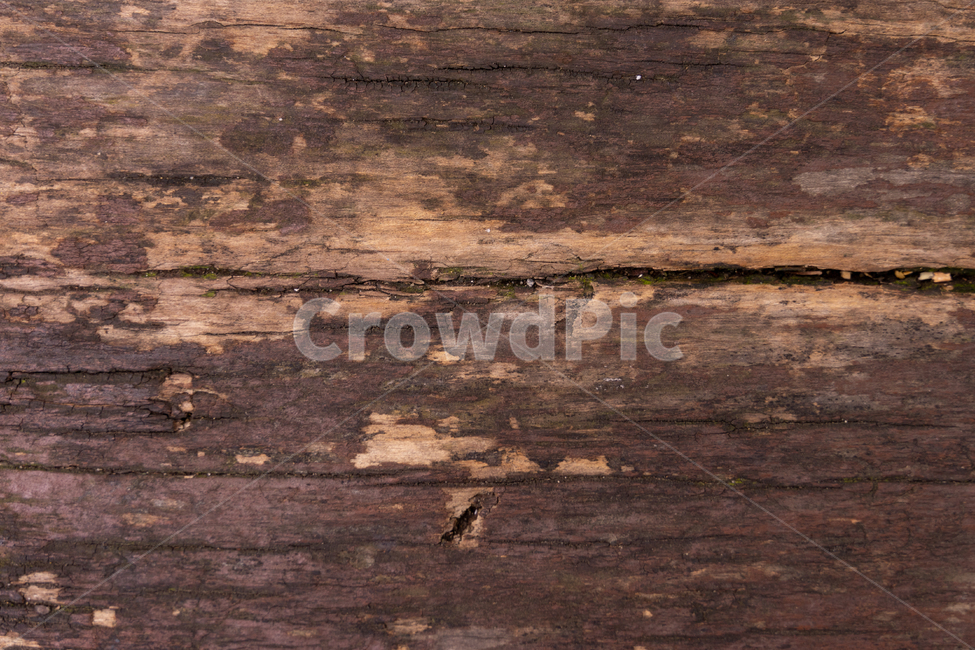 wood,tabletop,테이블탑,furniture,hardwood,견목,가구,텍스쳐,백그라운드,무늬,단면,패턴,배경,배경이미지,질감,빈티지,추상,재질,건축자재,인테리어,건물,외관장식,데코레이션,벽,외벽,마감,재마감,나무,목재,나무재질의,올드,목재의균열,나무테,나무결,텍스처,질감,패턴,texture,pattern