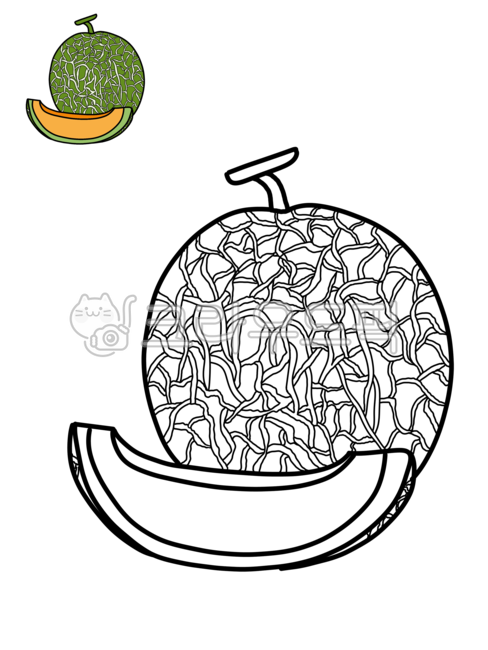색칠공부,색칠,크레파스,과일색칠,과일색칠공부,과일,과일칠하기,초등미술,과일일러스트,그림놀이,도안,과일도안,메론,머스크메론,메론칠하기,메론일러스트,머스크메론일러스트,메론색칠,메론색칠공부,메론그리기,유아미술,유아색칠놀이,색칠놀이,과일색칠놀이,과일,열매,fruit,그래픽,일러스트레이션,graphic,illustration