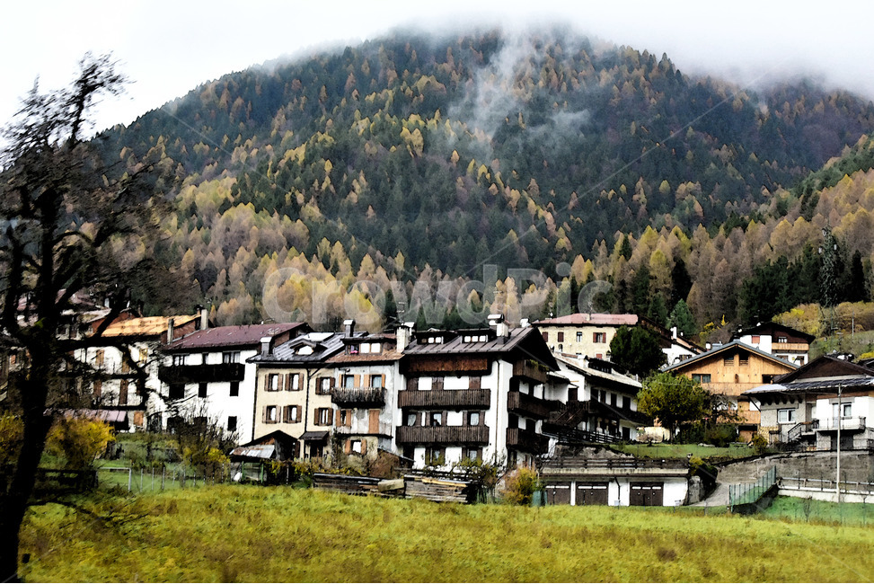 outdoors,nature,countryside,plant,tree,sight