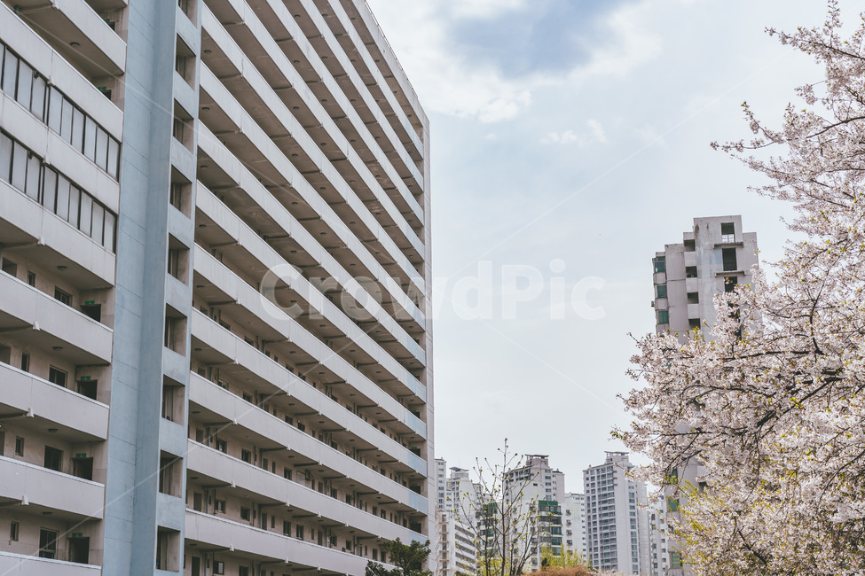 아파트, apartment, 송파, 잠실, 잠실주공, 사진,이미지,일러스트,캘리그라피 - swtdreams작가 크라우드픽 - 저작권 걱정 없는 상업용 이미지