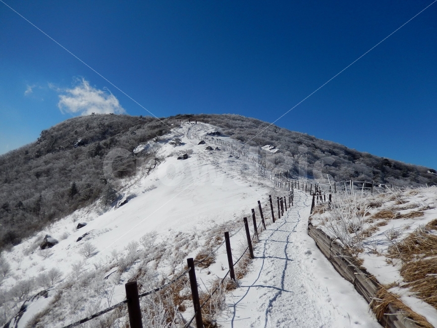 소백산,눈꽃풍경,상고대,겨울풍경,국립공원,겨울동화,힐링,감성,아름다움,뷰티풀,설국,눈풍경,파란하늘,100대명산,겨울명산,설경,서리꽃,영동,snow,landscape,눈,화이트,자연,신비로운,경이로운,천상,비경,치유,산,명산,길,로드,눈길,등산로,등로,겨울,계절,winter,season,자연,풍경,nature,landscape,한국자연풍경,한국자연경관,korea nature landscape,outdoors,옥외
