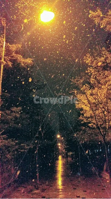 눈,폭설,야경,조명,길,반사,겨울,계절,winter,season,야경,밤,풍경,nightscape,night,landscape,nature,자연,outdoors,옥외