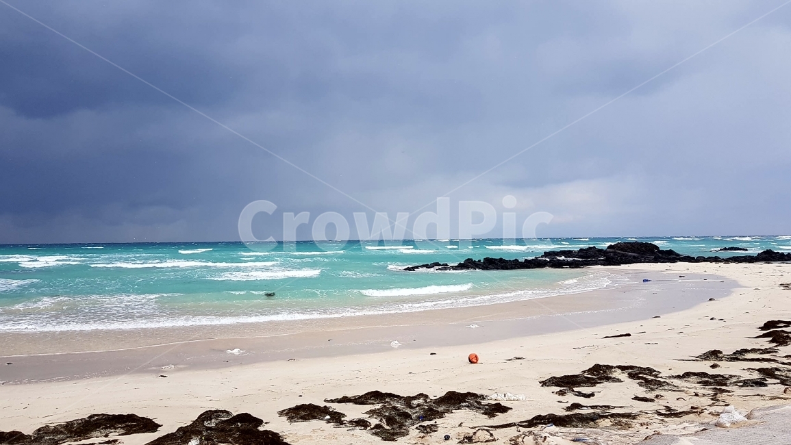 바다,해변,파도,돌,바람,sea,beach,세화해변,자연,풍경,nature,landscape,해변,바다,beach,sea,water,물,ocean,대양,outdoors,옥외,shoreline,해안선