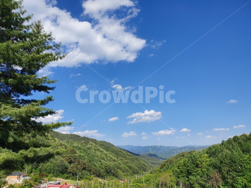 산,하늘,나무,풍경,자연,sky,mountain,landscape,scenery,scene,view