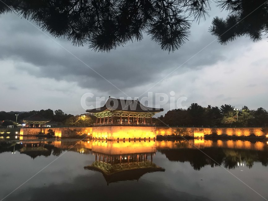 경주,한국,관광,건물,architecture,예술,대한민국,korea,야경,밤,풍경,nightscape,night,landscape