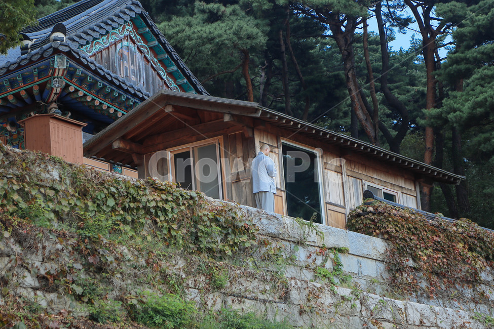 스님,불교,절,감성,산,한국,전통,불국사,시골,한국전통,한국문화,korean traditional,korean culture,사람,인물,인간,human,person,남성,남자,man,male,종교,신앙,religion,belief,faith,건축물,건물외관,exterior,building,structure,architecture,construction