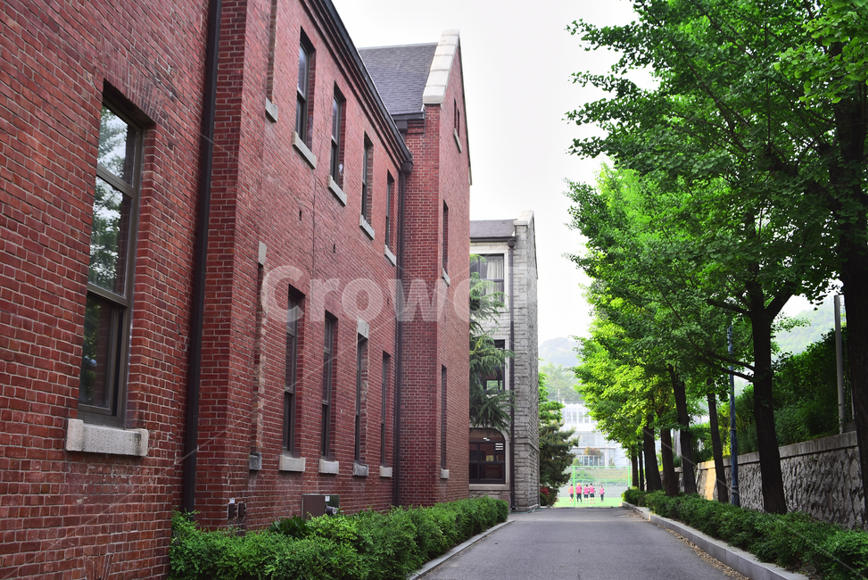 교육,학교,교정,건축물,건물외관,school,study,learning,배움터,교실,석조건물,빈티지,나무,길,학생,공부,education,training,schooling,placeofeducation,추억,memory,remember,보존,붉은벽돌,건축물,건물외관,exterior,building,structure,architecture,construction