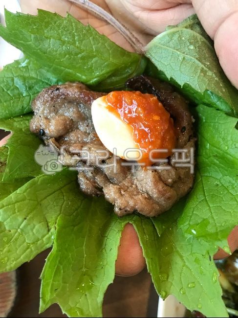 병풍취쌈,불고기쌈,불고기,병풍취,상추쌈,음식,식사,잎,meal,leaf,lunch,food