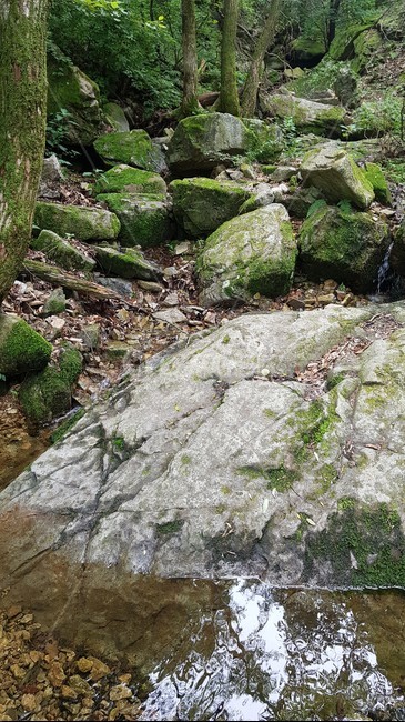 돌,바위,자연,산,mountain,nature,자연,풍경,nature,landscape,ground,바닥,plant,식물