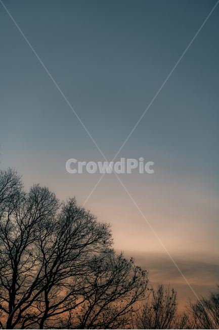 나무,노을,하늘,배경화면,sky,풍경,landscape,실외,야외,자연,경관,경치,공원,구름,sunset,자연,풍경,nature,landscape,outdoors,옥외